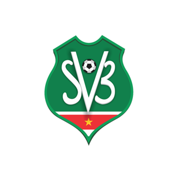 Suriname logo